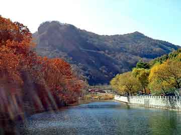 新澳天天开奖资料大全旅游团，塑料采购